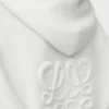 Anagram zip-up hoodie in wool White