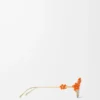 Daisy Field sunglasses Orange