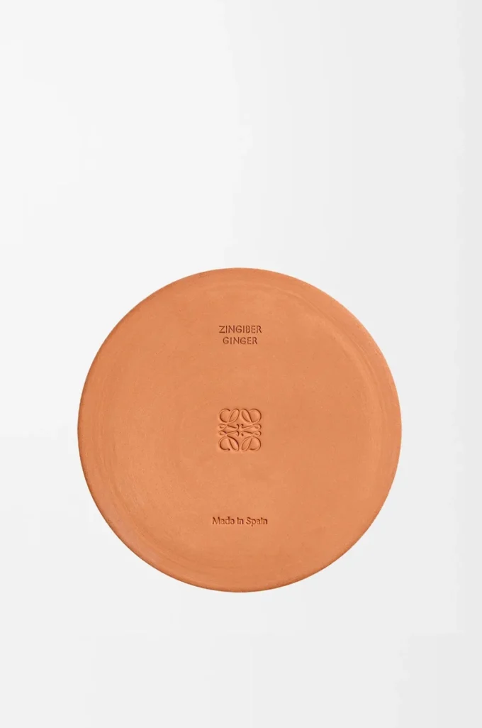 Ginger outdoor candle Orange