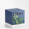 Large Ivy candle Light Pink