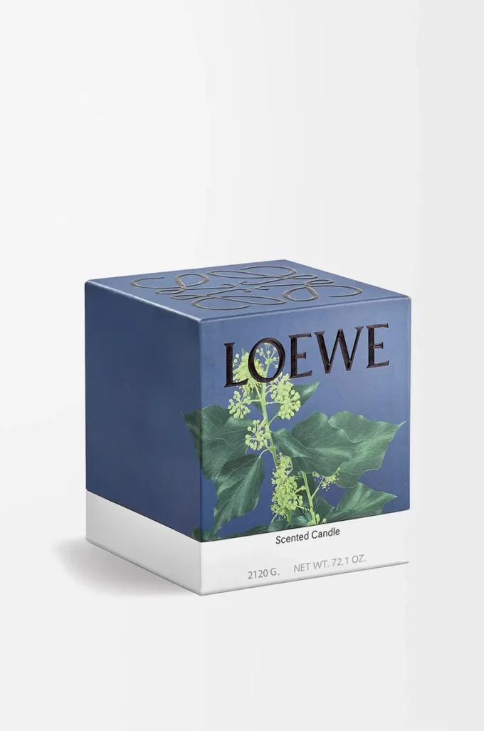 Large Ivy candle Light Pink
