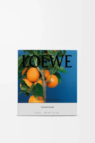 Large Orange Blossom candle Bright Mandarin