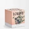 Large Oregano candle White