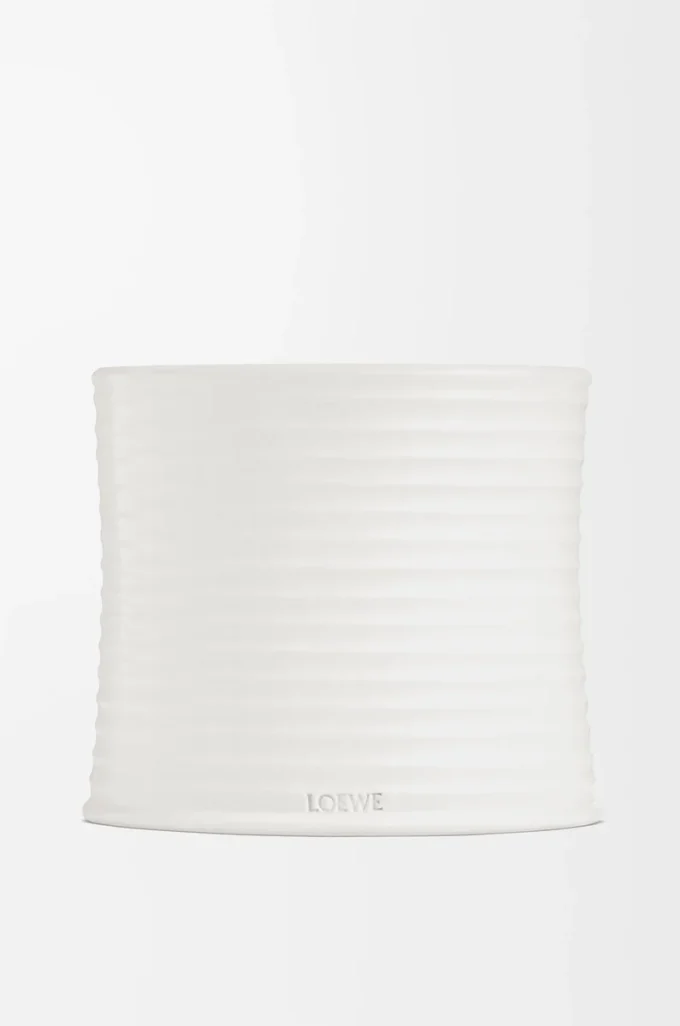 Large Oregano candle White