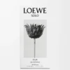 LOEWE Solo Ella Eau de Parfum 50ml Colourless