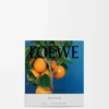 Medium Orange Blossom candle Bright Mandarin
