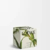 Midi Black Sesame scented candle Silver