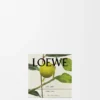 Midi Earl Grey scented candle Gold