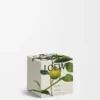 Midi Earl Grey scented candle Gold