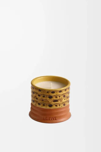 Mimosa scented candle Yellow/Tan