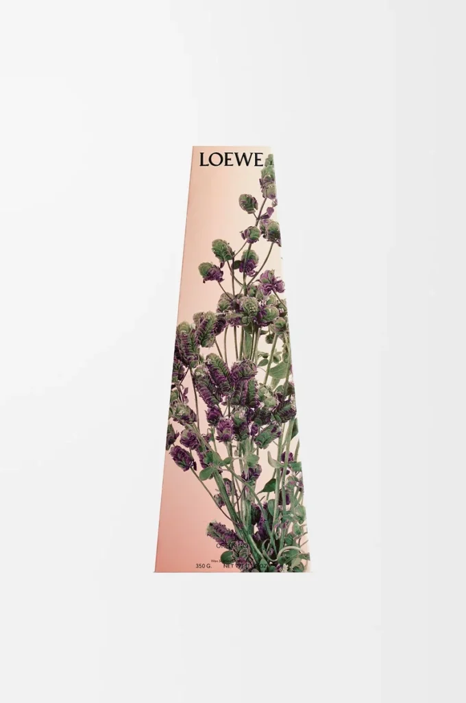 Oregano wax candleholder White