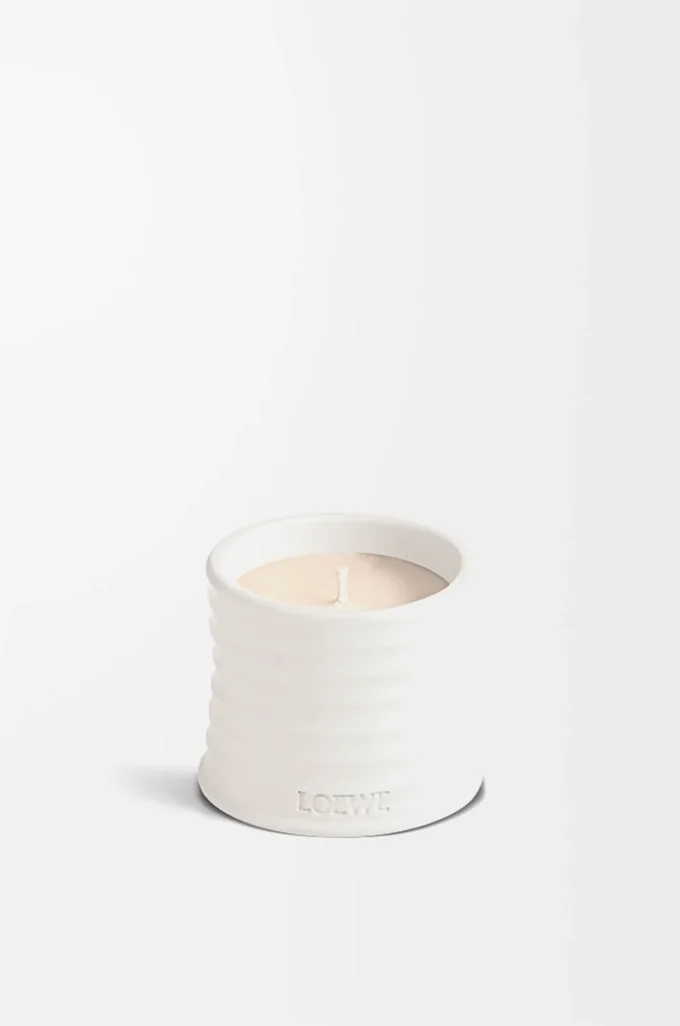 Small Oregano candle White Small Oregano candle White